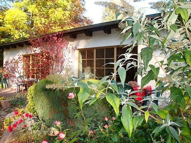 Haus Schneewittchen Villa Kägsdorf Dış mekan fotoğraf